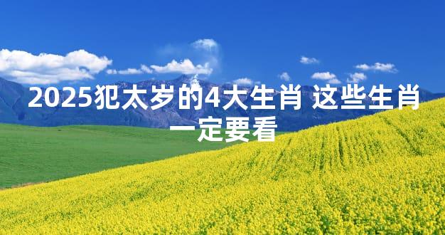 2025犯太岁的4大生肖 这些生肖一定要看